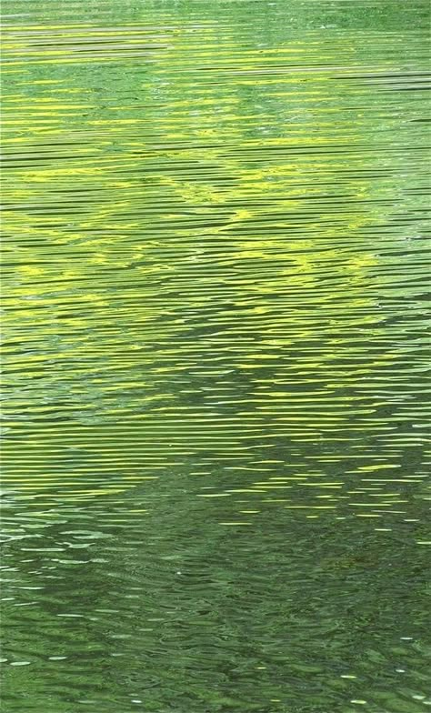 Calm Green, Liquid Texture, Golden Green, Whatsapp Wallpaper, Hur Man Målar, Water Reflections, Green Water, Emerald City, Reflective Surfaces