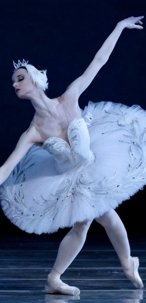 Swan Lake Odette Costume, Odette Ballet Costume, Sean Lake Ballet, Swan Lake Tutu, Odette And Odile Swan Lake Costume, Swan Lake Ballet Costume, Swan Lake Aesthetic Ballet, Odette Costume, Swan Lake Outfit