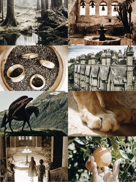 The Magician's Nephew - book aesthetic (ig: @oh_mybook) Narnia Magicians Nephew, The Magicians Nephew Aesthetic, Magicians Nephew Art, The Magician’s Nephew, The Magicians Nephew Art, Nephew Aesthetic, Narnia Characters, Mrs Coulter, Magician's Nephew