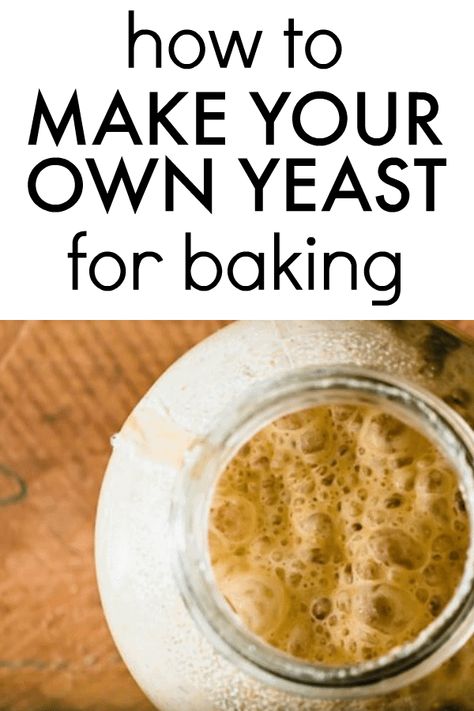 How to make yeast at home. How to make yeast. Sourdough starter. Make yeast for bread. Homemade yeast how to make. How to make yeast for bread. Homemade yeast how to make. How to make yeast starter. How to make yeast bread. How to make yeast rise. Yeast bread recipes. Make yeast starter. Make yeast at home. Sourdough starter recipe. Sourdough discard recipe #yeast #yeastrecipe #homemadeyeast #yeastbread #sourdoughstarter #breadstarter #breadrecipes Yeast For Bread, Pantry Diy, Bread Without Yeast, Homemade Yeast, Yeast Packet, Yeast Starter, No Yeast Bread, Food Experiments, Bread Starter