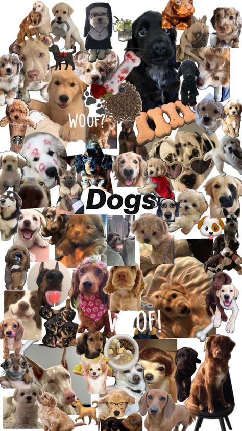 A Collage, Puppies, Collage, Dogs