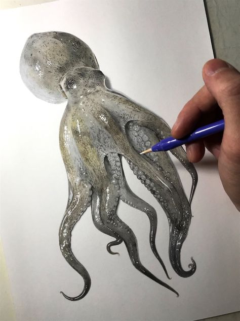 Illustrator Shares His Process to Create a Realistic Drawing of a Octopus Hyperrealistic Drawing, Octopus Drawing, Octopus Illustration, Octopus Painting, Cartoon Artist, Realistic Drawing, Octopus Art, White Acrylic Paint, Painting Lessons