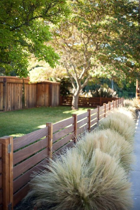 Privacy Fence Landscaping, Backyard Fence Decor, Yard Privacy, Diy Garden Fence, Garden Privacy, Backyard Privacy, Diy Fence, Front Yard Fence, Fence Landscaping