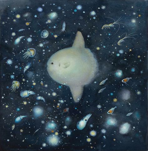 Ichiko Aoba, Mola Mola, World Illustration, I Am An Artist, Illustration Watercolor, Sea Creatures, Jellyfish, Art Stuff, An Artist