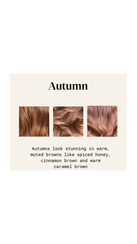 Autumn light brown hair color Autumn Hair Color, Warm Hair Color, Soft Autumn Color Palette, Autumn Hair, Skin Color Palette, You're So Pretty, Light Brown Color, Deep Autumn, Seasonal Color Analysis