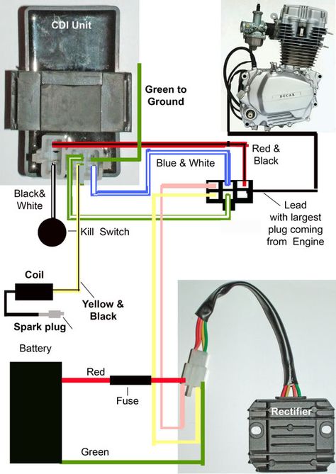 Engine wiring help - DIY Go Kart Forum Go Kart Engines, Motorcycle Wiring, Go Kart Plans, Basic Electrical Wiring, Car Ecu, Motorcycle Workshop, Diy Go Kart, Motor Mobil, 150cc Scooter