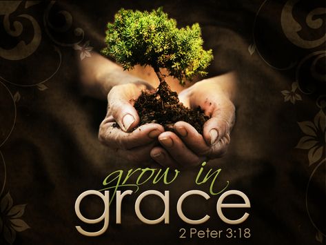 Grow in Grace and Power for Daily Life 2 Peter 3, Grow In Grace, 2 Peter, Favorite Bible Verses, 1 Peter, Lord And Savior, Gods Grace, Now And Forever, Amazing Grace