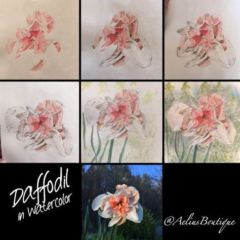 Step by step in watercolor painting of a daffodil.   #watercolor #watercolorsteps #daffodil #floralwatercolor #paint #painting #floralart #art #stepbystep Daffodil Watercolor, Birthday Calendar, Floral Photo, Paint Painting, Sunset Photos, Flower Photos, Star Print, My Flower, Daffodils