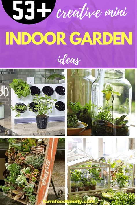 To start an indoor garden is also extremely simple. You just buy indoor plants in the flower shop and use 53+ mini indoor garden ideas in this article to make a beautiful garden. #indoorgarden #gardenideas #farmfoodfamily Inside Gardening, Indoor Herb Garden Diy, Indoor Garden Rooms, Indoor Vegetables, Herb Garden In Kitchen, Inside Garden, Sustainable Gardening, Diy Herb Garden, Mini Gardens