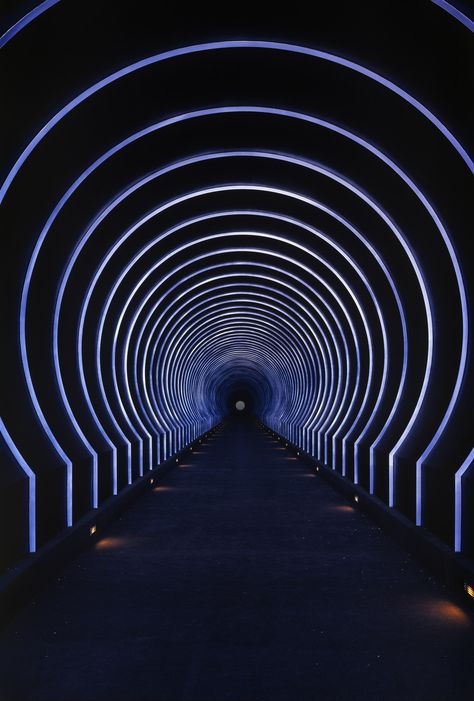 Alpha (East) Tunnel by James Turrell, Credit: Florian Holzherr Roden Crater, Large Scale Artwork, Light Tunnel, James Turrell, Light And Space, Light Installation, Land Art, Exhibition Design, Light Art