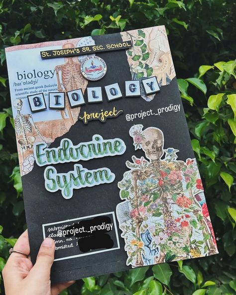 CLASS 10TH BIOLOGY COVERPAGE✨ TOPIC- ENDOCRINE SYSTEM DM FOR ORDERS 🌷 [Custom school projects, Affordable student projects, Decorative project sheets, CBSE project help, Assignment completion services, College project assistance, Holiday homework solutions, Customizable student notebooks, Aesthetic cover pages for assignments, School notebook completion, Student project help online, Custom cover pages for projects] #holidayhomework #cbseprojects #school #schoollife #SchoolProjects #school... Coverpage Aesthetic Ideas, Biology Assignment Ideas, Biology Decorations Ideas, Biology Aesthetic Cover Page, Biology Practical File Cover, Biology Cover Page Ideas, Biology Project Design, Cover Page For Biology Project, School Book Covers Science