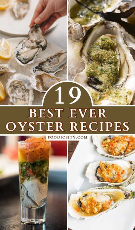 Baked Oyster Recipes, Oyster Bake, Cooked Oysters, Seafood Dish Recipes, Grilled Seafood Recipes, Oyster Roast, Grilled Oysters, Mussels Recipe, Oyster Recipes