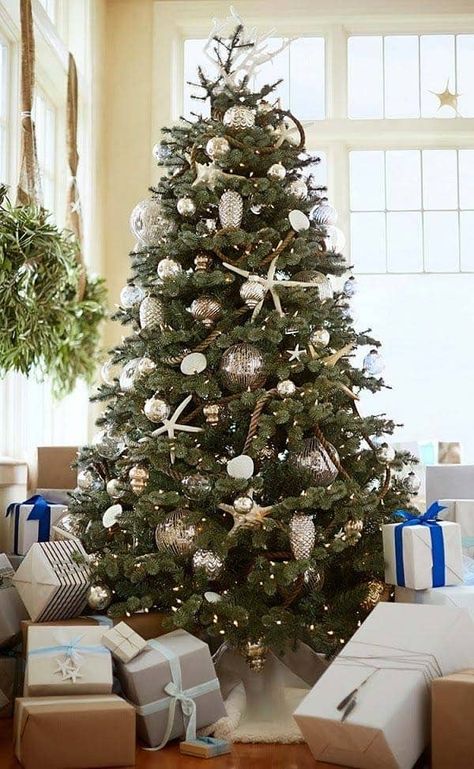 Beachy Christmas Tree, Elegant Christmas Tree Decorations, Types Of Christmas Trees, Christmas Tree Decor Ideas, Coastal Christmas Tree, Tree Decor Ideas, Summer Tree, Florida Christmas, Coastal Christmas Decor