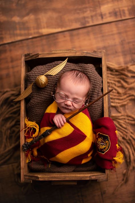 Infant Harry Potter Photography, Harry Potter Infant Photos, Harry Potter Newborn Photography, Newborn Photography Halloween, Cats In Halloween Costumes, Baby Birthday Photoshoot, Newborn Photos Boy, Baby Milestones Pictures, Foto Newborn