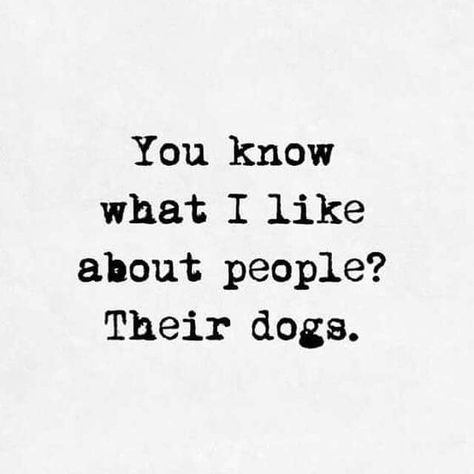 Dog Mom Quotes, Puppy Quotes, Crazy Dog Lady, Crazy Dog, Animal Quotes, Dog Quotes, I Love Dogs, Puppy Love, Dog Mom