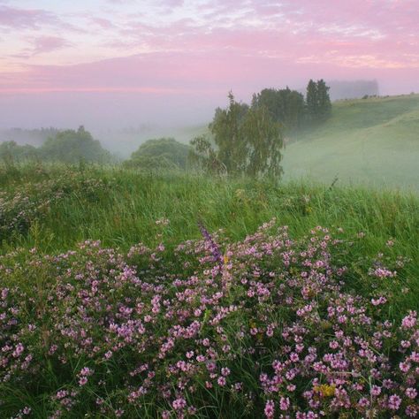 Last Ride, Pretty Landscapes, Nature Aesthetic, The Grass, Pretty Places, Mother Earth, Pretty Pictures, Mother Nature, Beautiful Nature