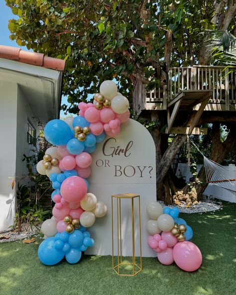 What will it be? 🙈 Classic Gender Reveal decoration 🩷🩵 #balloongarland #birthdaypartyballoon #miamibirthdayparty #southflbirthdayparty #southflorida #birthdaycake #birthdaygirl #birthdayboy #genderrevealdecor #babyshower #babyshowerballoons #babyshowerdecorations #graduationparty #birthdaypartyballoondecor #birthdayideas #marqueenumber #southfloridaballoons #livelyevents #balloonsmallbusiness #balloonarrangement #babyboy #babygirl Gender Reveal Ideas Simple, Gender Reveal Ideas For Party Decoration, Small Gender Reveal Ideas, Gender Reveal Aesthetic, Simple Gender Reveal Ideas, Reveal Ideas Gender, Gender Neutral Nurseries, Gender Reveal Diy, Simple Gender Reveal