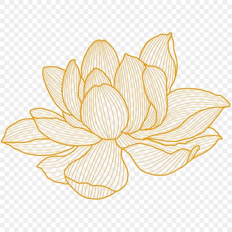 Lotus Flower Graphic Design, Lotus Flower Clipart, Lotus Vector Design, Lotus Graphic Design, Lotus Animation, Lotus Flower Art Design, Lotus Flower Drawing Design, Lotus Line Drawing, Lotus Flower Line Art