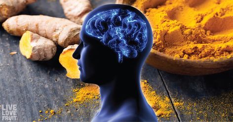 This Is How Your Brain Physically Changes After Consuming Raw Turmeric (You’ll Be Shocked!) Raw Turmeric, Health Benefits Of Turmeric, Benefits Of Turmeric, Human Nutrition, Turmeric Health Benefits, Brain Cells, Healing Plants, Turmeric Curcumin, Turmeric Benefits