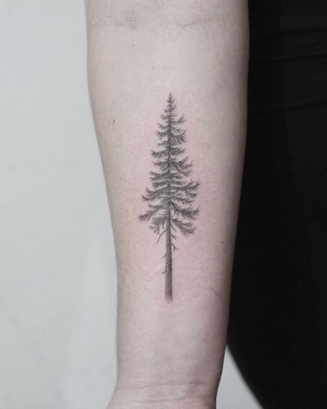 Douglas Fir Tattoo, Tree Line Tattoo, Henna Tattoo Foot, Tree Tattoo Meaning, Pine Tattoo, Tree Tattoo Forearm, Tree Tattoo Arm, Pine Tree Tattoo, Cool Arm Tattoos