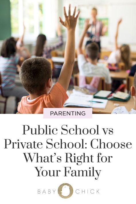 We're comparing public school vs. private school. How can you know what environment will help your child thrive? Where your child will receive the best education for him or her as an individual? Whether public school or private school is best for your child, and for you as a family? Public School Vs Private School, Private School Vs Public, Motherhood Inspiration, Baby Chick, Learning Spaces, Baby Chicks, School Hacks, Private School, Traveling With Baby