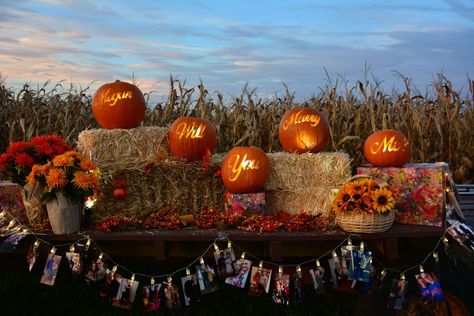 Cute Fall Proposal Ideas, Fall Proposal Ideas Autumn, Pumpkin Proposal Ideas, Proposal Ideas Pumpkin Patch, Autumn Proposal Ideas, Halloween Wedding Proposal Ideas, Halloween Proposal Engagement, Thanksgiving Proposal Ideas, October Proposal Ideas