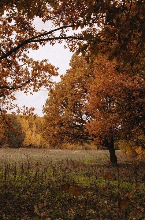 October Core, Autumn Lockscreen, Autumnal Inspiration, Fall Mountains, Autumn Countryside, Witchy Fall, Gorgeous Landscapes, Autumn Walk, Autumn Magic