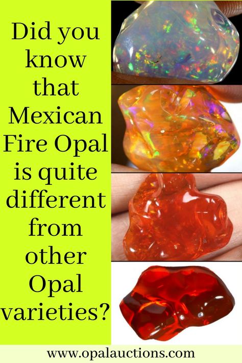 Did you know that Mexican Fire Opal is quite different from other Opal varieties?#jewelry #opalpendant #gems #gemstones #rockhound #cabochonsforsale #gemstone #jewellery #opaljewellery #opaljewelry💙#designerjewelry #naturalopals #opalwholesaler #stoneforsale #gemstonejewelry #jewelryaddict #opalicious #opalearrings #blackopal #opaljewelrydesigner #opaljewelrydesign #opaljewelrysale #opaljewelry❤ #opaljewelrystone Dragons Breath Fire Opal, Opal Meaning, Opal Jewelry Necklace, Mexican Opal, Fire Opals, Unique Opal, Dragons Breath, Mexican Fire Opal, Peruvian Opal