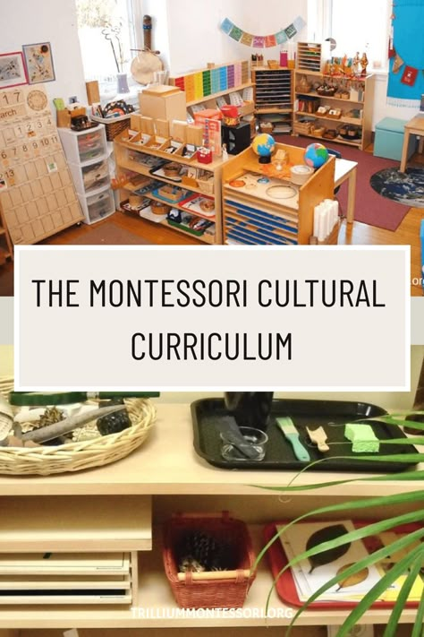 The Montessori cultural curriculum includes lessons on geography, botany, zoology, science, art, and music. Geography Montessori Shelf, Montessori Cultural Shelves, Montessori Categories, Montessori Science Shelf, Montessori Preschool Curriculum, Montessori Science Activities, Montessori Culture, Montessori Kindergarten, Science Area