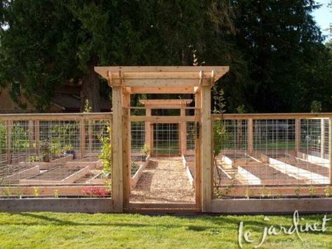 Plan Potager, Kebun Herbal, Taman Diy, Raised Vegetable Gardens, Garden Area, Garden Design Plans, Veg Garden, Vegetable Garden Design, Vegetable Gardening