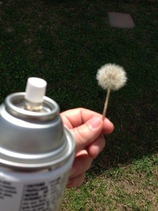 Preserve Dandelion Puff, Dandelion Paperweight, Dandelion Puffs, Resin Clock, How To Make Resin, Dandelion Art, Dandelion Clock, Resin Crafts Tutorial, Resin Jewelry Diy