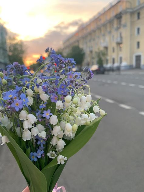 Frühling Wallpaper, Boquette Flowers, A Bouquet Of Flowers, Nothing But Flowers, Flower Therapy, Beautiful Bouquet Of Flowers, Pretty Plants, Bouquet Of Flowers, Beautiful Bouquet