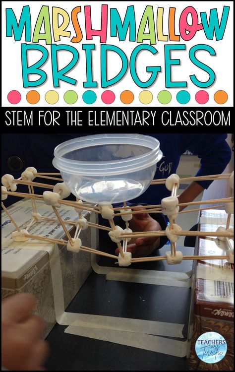 Newtons 1st Law Of Motion Activities, Makerspace Elementary Projects, Makerspace Challenges, Stem Activities Elementary, Spaghetti Tower, Thanksgiving Stem, Newton's Cradle, Stem Students, Stem Classes