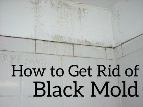 How to Get Rid of Black Mold the Easy and Cheap Way | Dengarden Get Rid Of Black Mold, Clean Hacks, Homemade Toilet Cleaner, Clean Baking Pans, Black Mold, Mold In Bathroom, Cleaning Painted Walls, Homemade Cleaners, Bathroom Walls