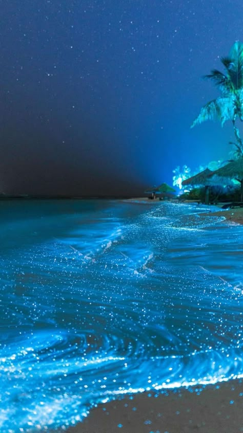 Visit the #GlowingBeach on the Vaadhoo Island in the Maldives. The bioluminescent phytoplankton in the water create an ethereal, starry night effect on the shore, a romantic sight that's perfect for a moonlit walk. #RomanticDestinations #NaturalWonders #TravelFact Vaadhoo Island, Glowing Beach, Ocean At Night, Beach At Night, Dream Vacations Destinations, Ocean Pictures, Pretty Landscapes, Tapeta Pro Iphone, Dream Travel Destinations