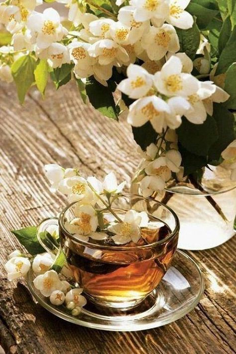 Jasmine Tea Jasmine Tea, Beltane, A Cup Of Tea, Tea Art, My Cup Of Tea, Floral Tea, Flower Tea, Tea Recipes, Cup Of Tea