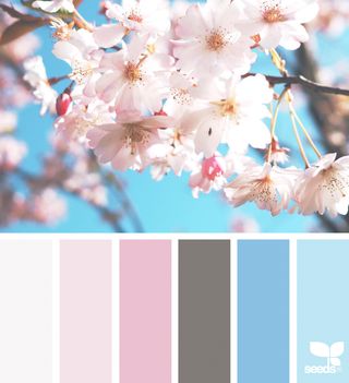 { color blossom } image via: @designangel The post Color Blossom appeared first on Design Seeds. Design Seeds Color Palette, Seeds Color Palette, Seeds Color, Spring Color Palette, Pastel Colour Palette, Design Seeds, Spring Color, Blossom Design, Colour Schemes