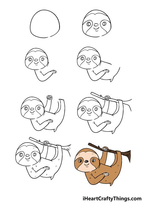 How To Draw A Sloth, Aril Tatum, Sloth Facts, Sloth Drawing, Rainforest Animals, Directed Drawing, A Sloth, Animal Doodles, Paper Birds