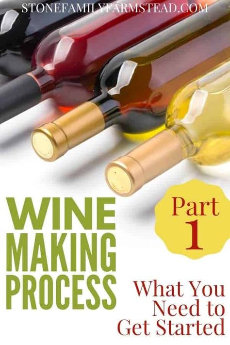 How To Make Your Own Wine At Home, Wine Making For Beginners At Home, Make Your Own Wine At Home, Wine Making For Beginners, How To Make Wine At Home, Wine Recipes Homemade, Fruit Wine Recipes, Making Wine From Grapes, Home Wine Making