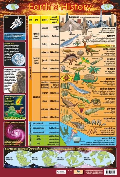 Prehistoric Timeline, Nice Poster, History Poster, History Of Earth, History Posters, Dinosaur Pictures, Earth Pigments, History Timeline, Learning Science