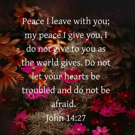 Do Not Let Your Heart Be Troubled, My Peace I Leave With You, Peace I Leave With You, My Peace I Give To You, Christians Quotes, Faith Is The Substance, My Peace, Perfect Peace, The Lord Is Good