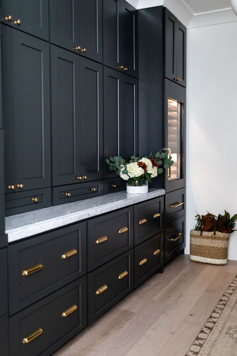 Pulls For Black Cabinets, Pantry Inspiration, Pantry Wall, Gold Knobs, Small Pantry, Black Kitchen Cabinets, Inspiration Photos, Remodel Kitchen, Butler's Pantry