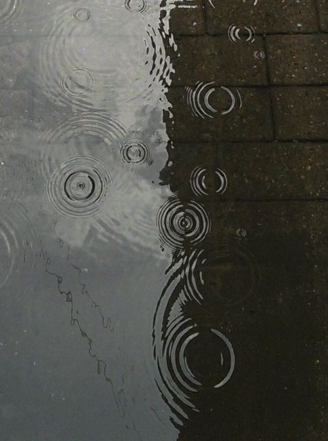 Severus Snape Aesthetic, Rainy Street, Grey Aesthetic, Gloomy Day, Fall Spices, Season Of The Witch, Vintage Fall, Rain Photography, Autumn Day