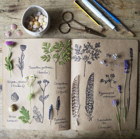 Journal D'inspiration, Journal Prompts For Kids, Kunstjournal Inspiration, Botanical Sketchbook, Field Journal, Plant Journal, Kids Journal, Journal Aesthetic, Arte Sketchbook