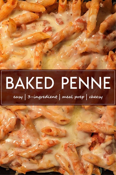 Three-Ingredient baked penne full of melted cheese in a glass baking dish. Easy Bake Pasta Recipes, Premade Pasta Meals, Rigatoni For Large Crowd, Cheesy Pasta Bake No Meat, Penna Pasta Recipes Baked Penne, Cheesy Baked Pasta Recipes, 3 Cheese Penne Pasta, Easy Penne Pasta Recipes Ground Beef, Three Cheese Penne Pasta