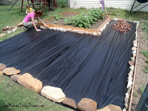 Mulch Patio, Backyard Makeover On A Budget, Backyard Makeover Diy, Inexpensive Backyard Ideas, Inexpensive Landscaping, Backyard Seating Area, Diy Backyard Patio, Cheap Backyard, Backyard Garden Landscape