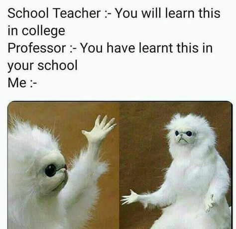 Teacher Memes Funny, Funny Cartoon Memes, College Memes, Best Memes Ever, English Memes, Army Jokes, Student Humor, Funny School Jokes, Teacher Memes