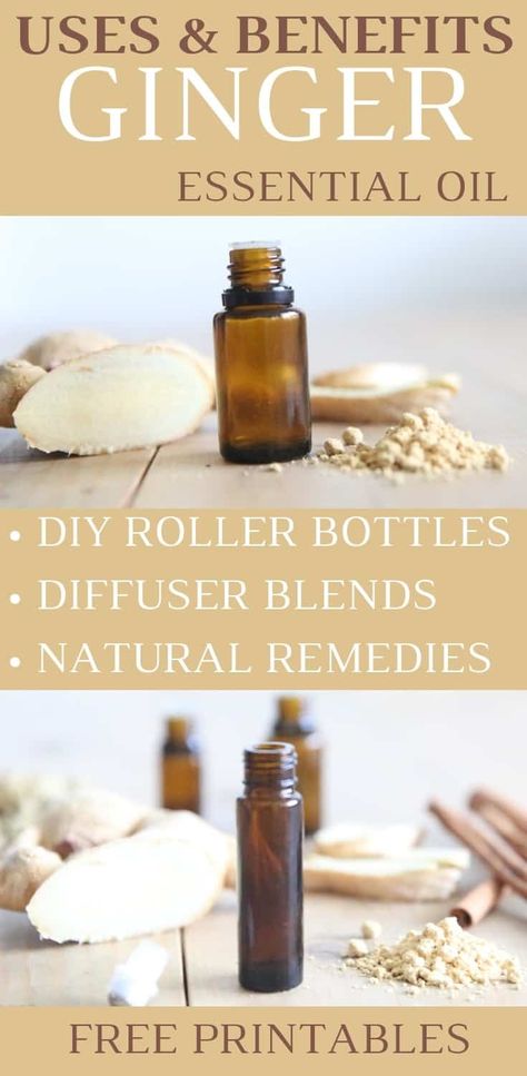 Ginger Essential Oil Highlight | Uses, Benefits, and Recipes - Our Oily House Essential Oils For Nausea, Fennel Essential Oil, Benefits Of Ginger, Roller Bottle Recipes, Ginger Benefits, Ginger Essential Oil, Infused Water Recipes, Ginger Oil, Essential Oil Roller Bottle