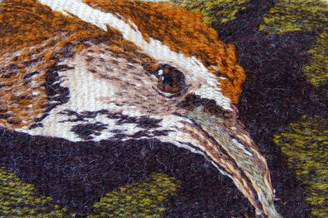 Desert Birds, Cactus Tapestry, Cactus Wren, Handwoven Tapestry, Desert Cactus, Sonoran Desert, In The Desert, Naturally Dyed, Tapestry Weaving