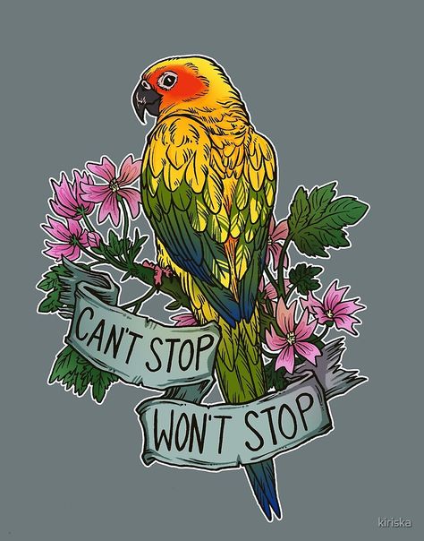 Sun Conure, Can't Stop Won't Stop, Birdy, Bird Art, Art Inspo, Birds, Sun, Canning, Halloween